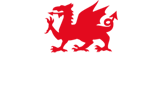 Red Dragon I.T.